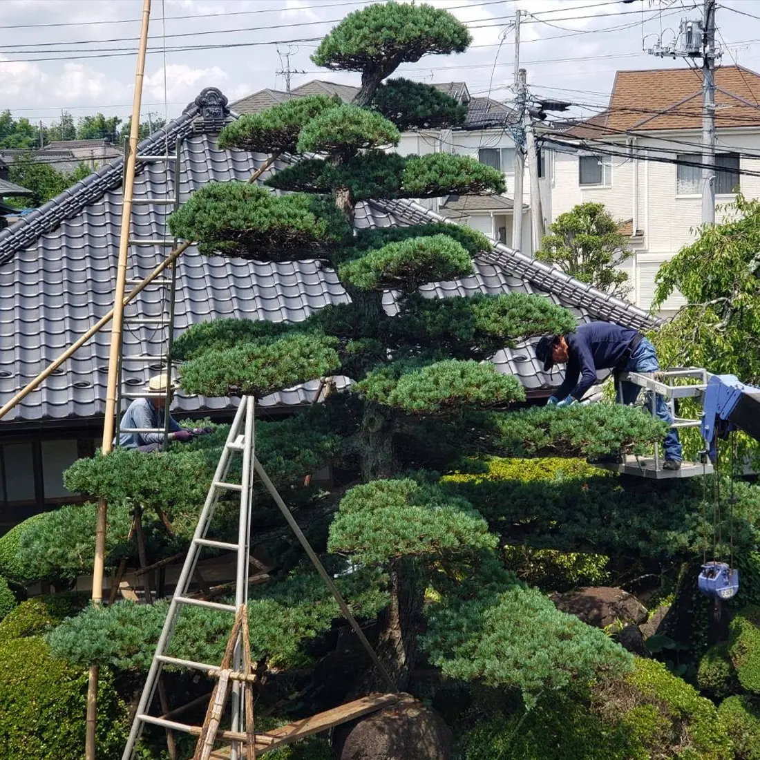代表取締役  森住 直行