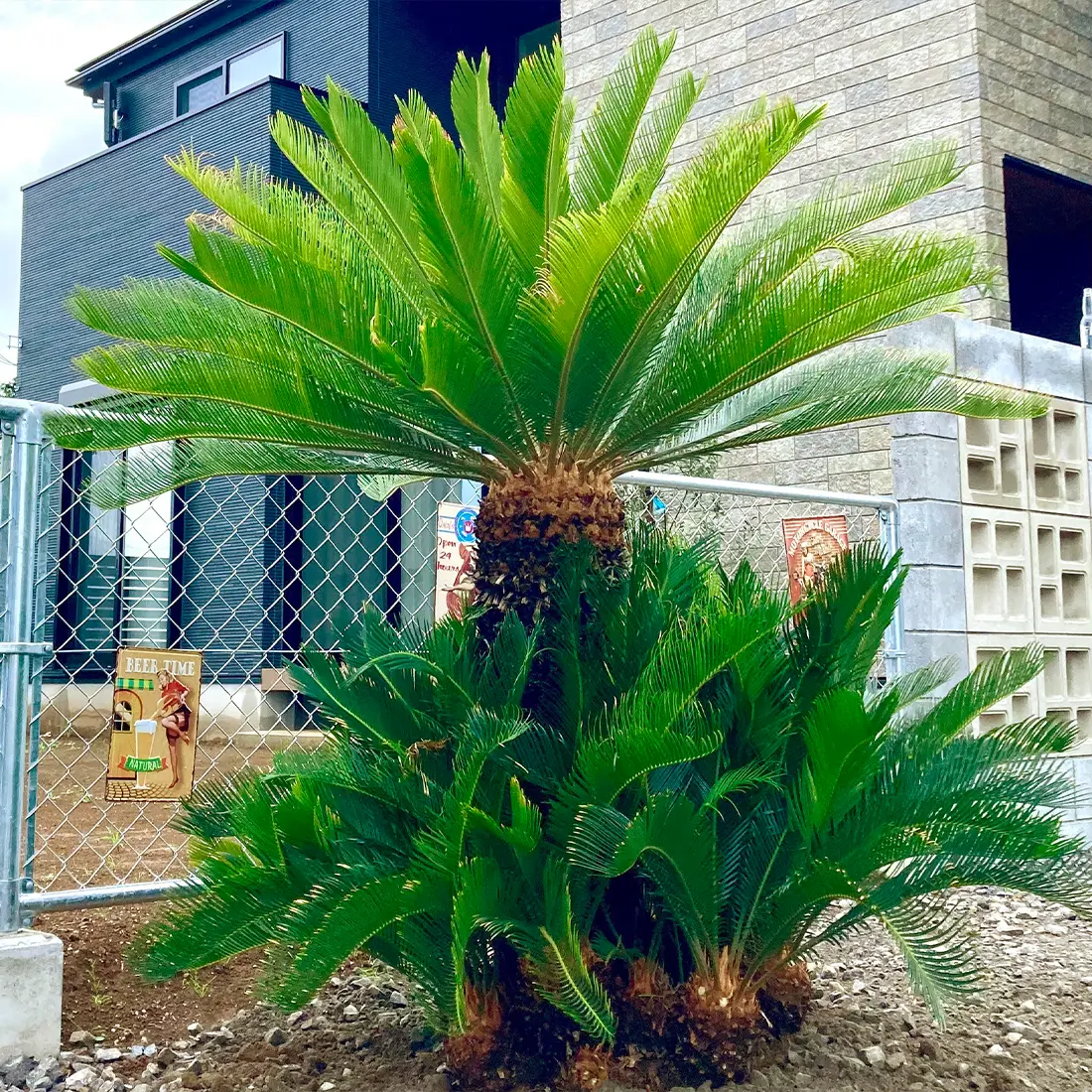 洋風庭園